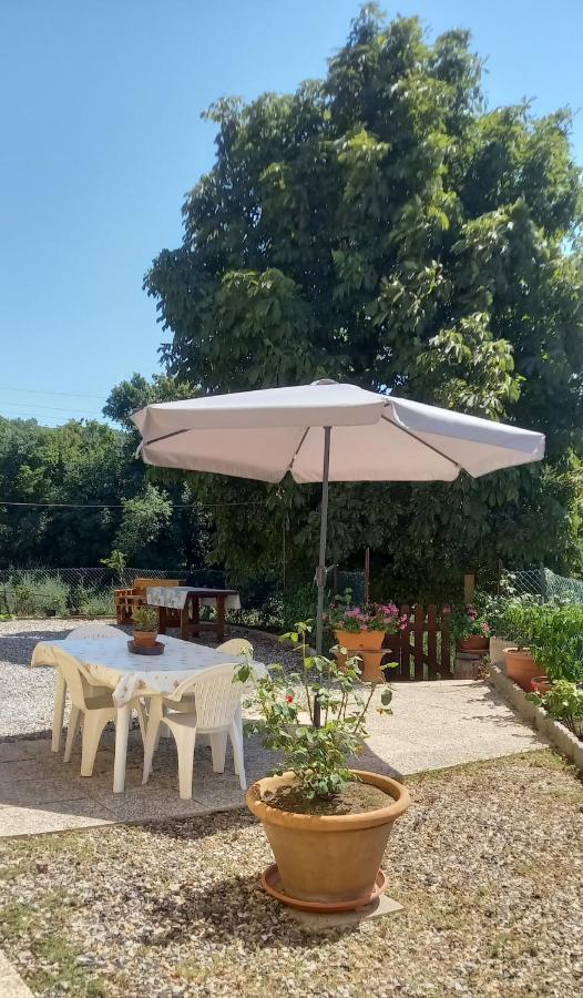 Appartamento Bellavista Castellina Marittima Extérieur photo